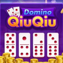 Tutorial bermain domino qiu qiu di aplikasi